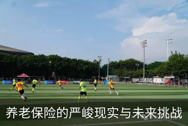 养老保险的严峻现实与未来挑战